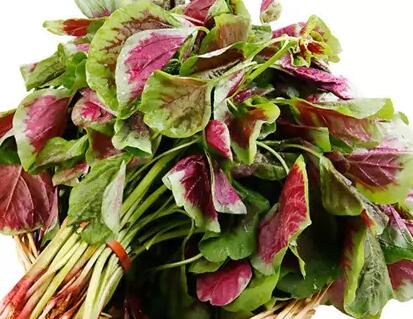 臺膳飲食建議:夏天應(yīng)多吃這些補(bǔ)氣