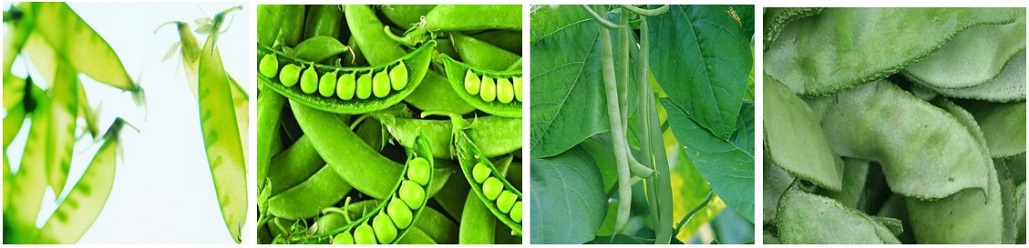 清遠食堂承包,清遠飯?zhí)贸邪?清遠伙食承包